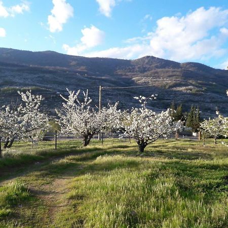 Апартаменты La Casita Del Jerte Кабесуэла-дель-Валье Экстерьер фото